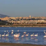 Da Carla E Sandro Appartamento Quartucciu